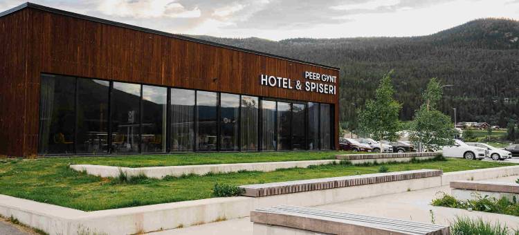 汤姆伙伴酒店Vinstra(Thon Partner Hotel Vinstra)图片