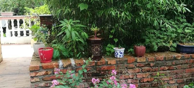 温州过海山居民宿图片