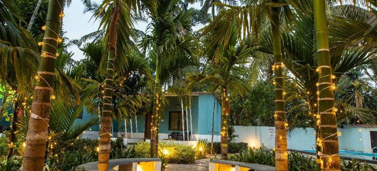 槟榔度假村(Betelnut Resort)图片