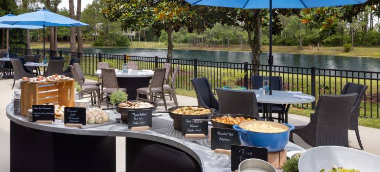 杰克逊维尔喜来登酒店(Sheraton Jacksonville Hotel)图片