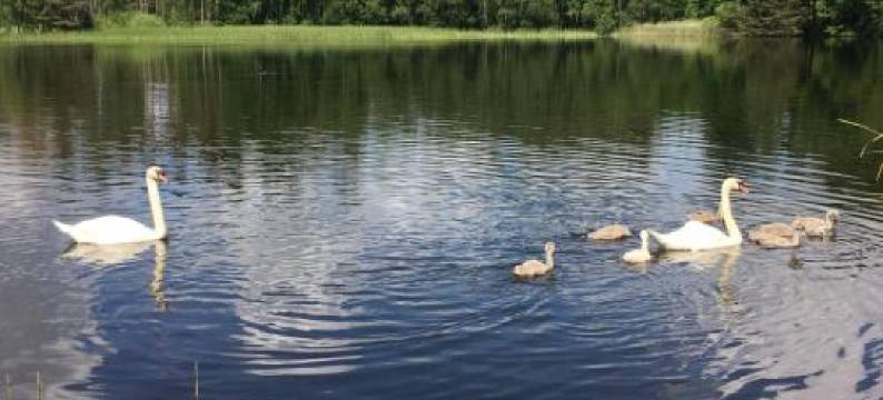 Apartmány U Pařezáče图片