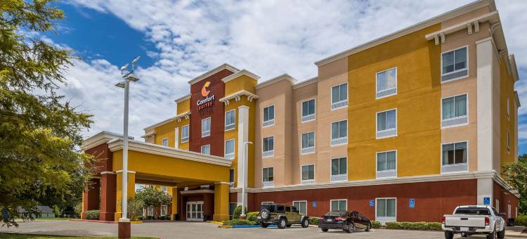 德纳姆斯普林斯舒适套房酒店(Comfort Suites Denham Springs)图片