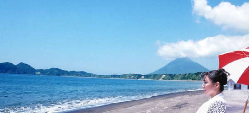 疗愈之宿 田舍屋(Healing Inn Inakaya)图片