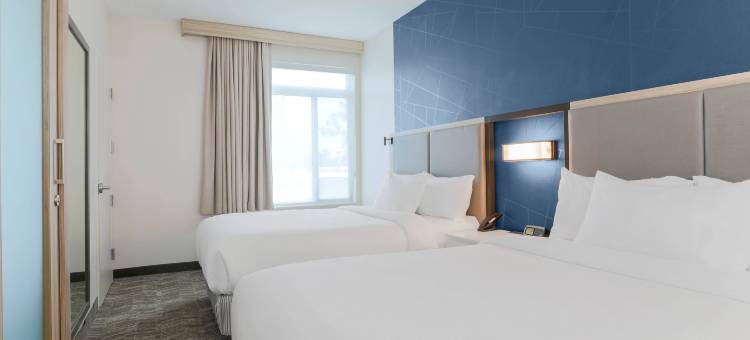 SpringHill Suites Tallahassee North图片