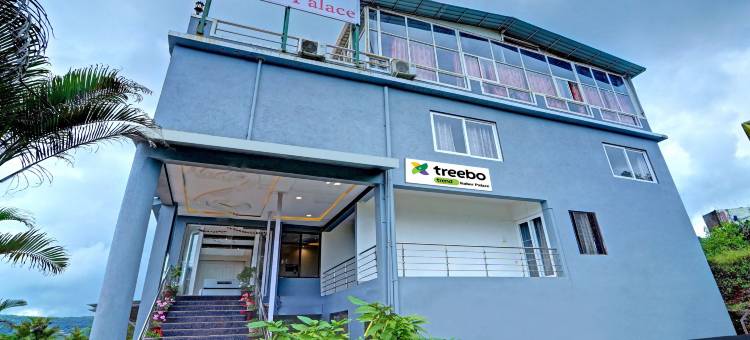 Treebo库伯宫带游泳池(Treebo Kuber Palace)图片