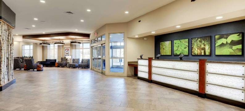 丹佛威斯敏斯特德鲁里广场酒店(Drury Plaza Hotel Denver Westminster)图片