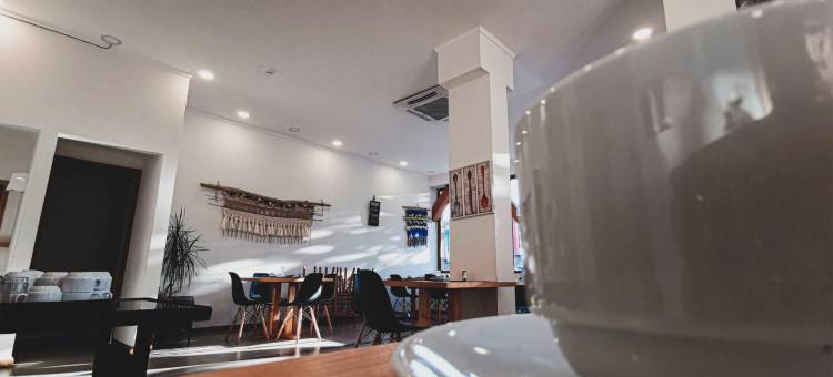 蒲康伊多米托酒店(Hotel Pucón Indómito)图片