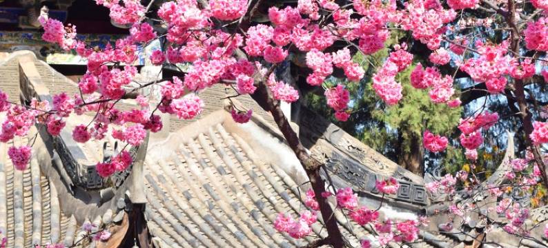 西昌风晴民宿(邛海湿地店)图片