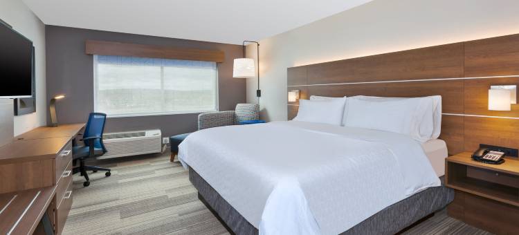 欧克莱尔西I-94智选假日套房酒店(Holiday Inn Express & Suites Eau Claire West I-94)图片