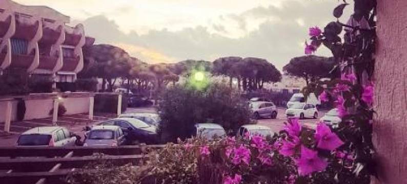 Studio 24137 Port Camargue, Piscine, Climatisation, 4 Personnes图片