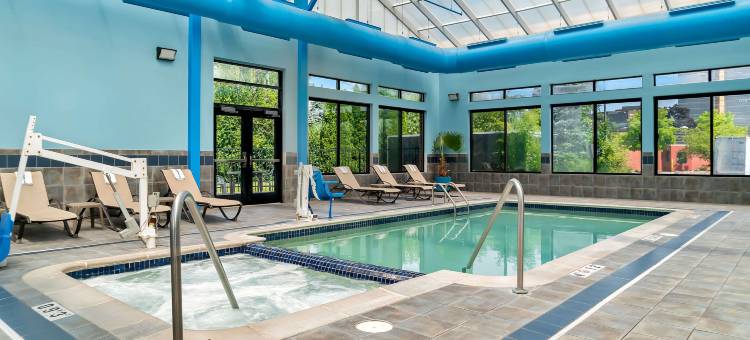 南菲尔德/底特律舒适套房酒店(Comfort Suites Southfield-Detroit)图片