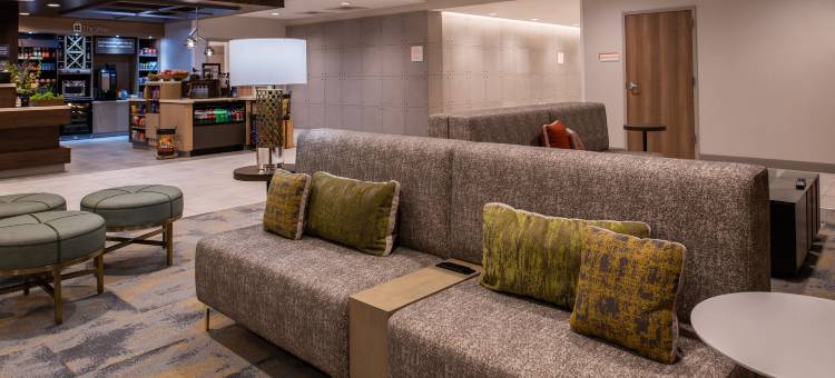 勘萨斯城机场希尔顿花园酒店(Hilton Garden Inn Kansas City Airport)图片