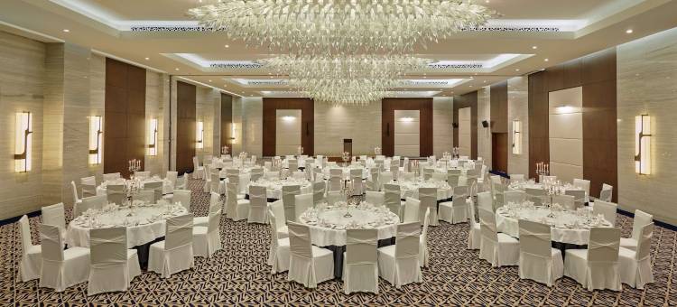 亚的斯亚贝巴巴凯悦酒店(Hyatt Regency Addis Ababa)图片