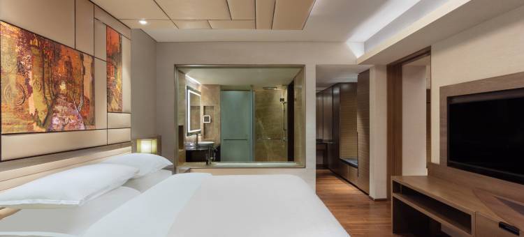 班加罗尔怀特菲尔德喜来登大酒店及会议中心(Sheraton Grand Bengaluru Whitefield Hotel & Convention Center)图片