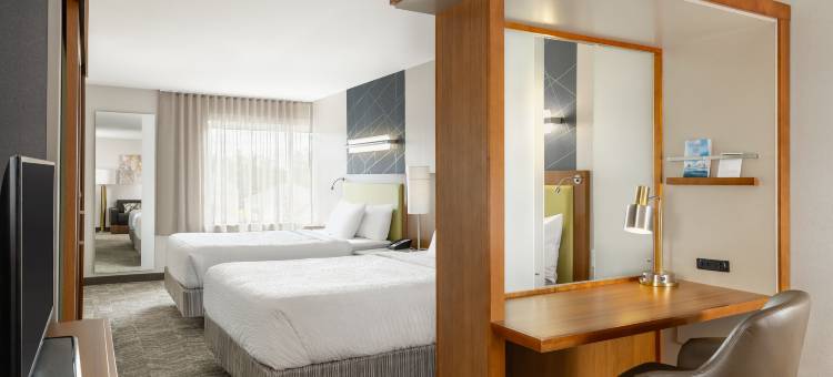 威斯康星戴尔斯SpringHill Suites酒店(SpringHill Suites Wisconsin Dells)图片