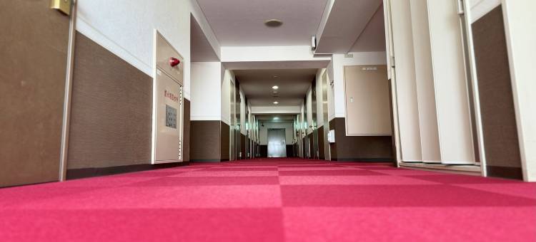 秋田阿尔法酒店(Hotel Alpha Inn Akita)图片