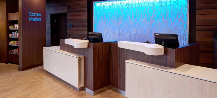 Fairfield Inn & Suites Detroit Troy图片