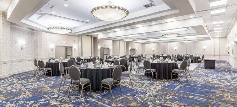 孟菲斯逸林酒店(DoubleTree by Hilton Memphis)图片