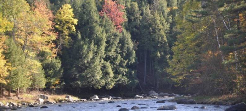 Secluded, Furnished, Log Home, Close To Many Adirondack Attractions.图片