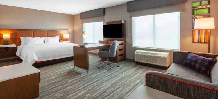 底特律布卢姆菲尔德山欢朋套房酒店(Hampton Inn and Suites by Hilton Bloomfield Hills Detroit)图片
