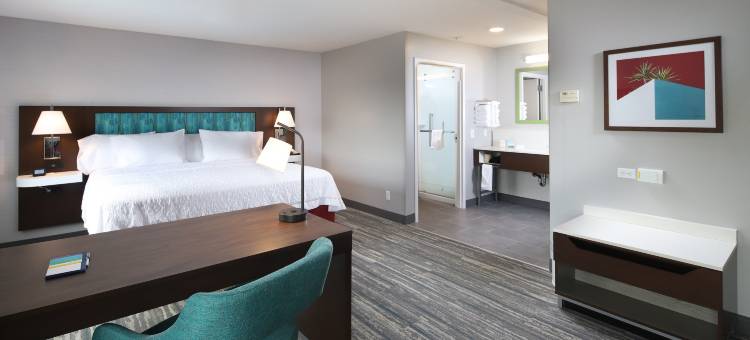 图森东/威廉姆斯中心欢朋套房酒店(Hampton Inn & Suites Tucson East/Williams Center)图片