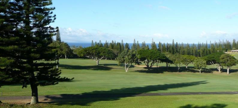 Maui, island of the Haleakala Volcano is the heart chakra of the earth图片
