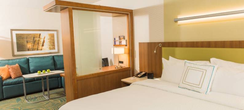 布法罗机场SpringHill Suites酒店(SpringHill Suites Buffalo Airport)图片