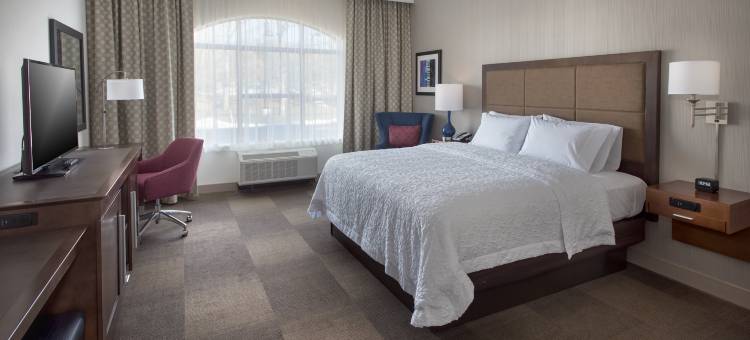 希尔顿欢朋酒店-新帕尔茨(Hampton Inn by Hilton New Paltz)图片