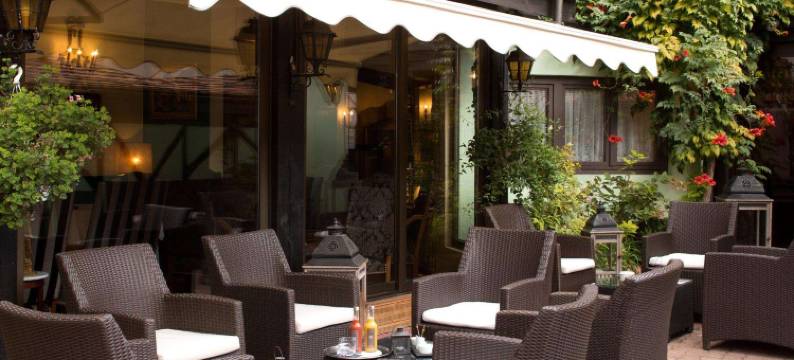 勒马雷夏尔酒店(Hostellerie le Marechal Colmar)图片