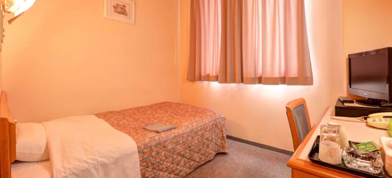 岩川商务酒店(Business Hotel Iwagawa)图片