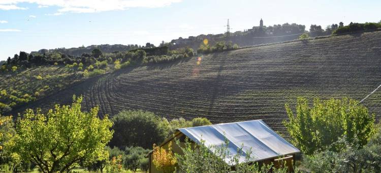 农场上的豪华帐篷带游泳池(Luxury tent on a farm with swimming pool)图片