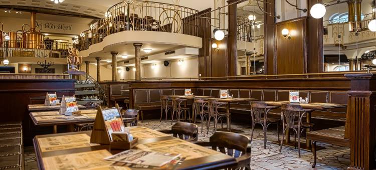 皮沃瓦莫诺波尔酒店(Wellness Hotel Pivovar Monopol)图片