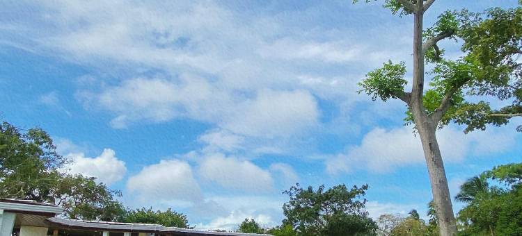 米拉佛罗雷斯精品酒店(Miraflores Boutique Hotel Adults Only)图片