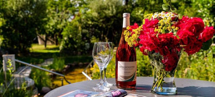 兰德吉特瓦尔德贝格酒店(Landhotel Gut Wildberg)图片