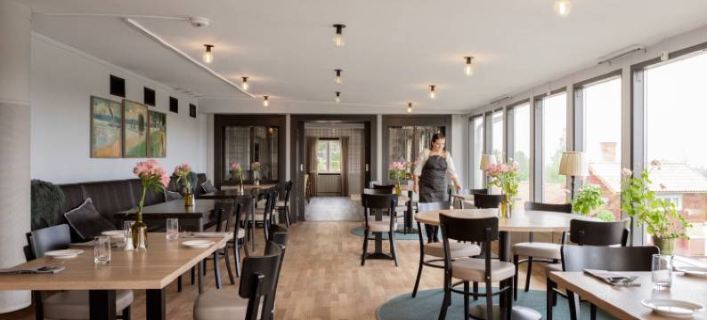 金霍尔尼特(Hotell Gyllene Hornet)图片