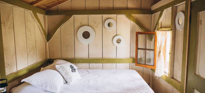 梦想家写作农场(Dreamers Writing Farm)图片