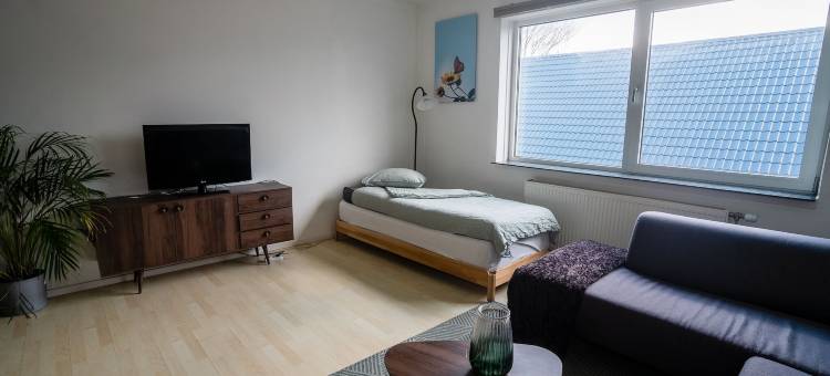 桑色散斯公寓(Apartments Zaanse Schans and Amsterdam)图片
