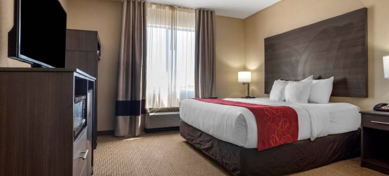 莫比尔舒适全套房酒店(Comfort Suites Mobile West/Tillmans Corner)图片