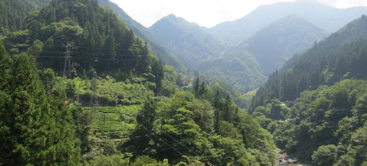 尼时基旅馆(Guesthouse Nishiki)图片