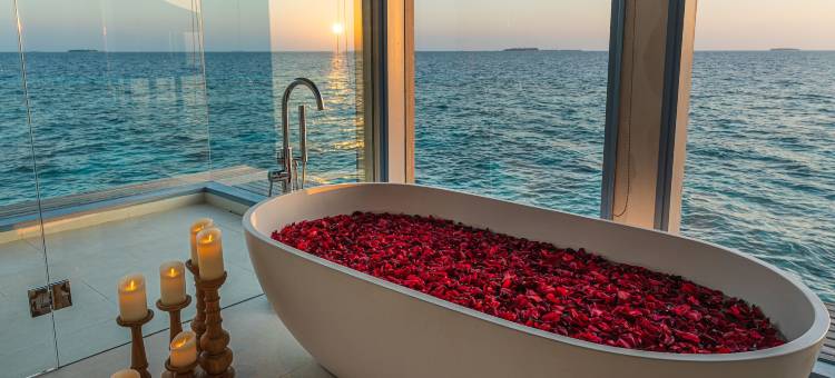 万豪马尔代夫海玺翠鸟私人岛，傲途格精选酒店(The Halcyon Private Isles Maldives, Autograph Collection)图片