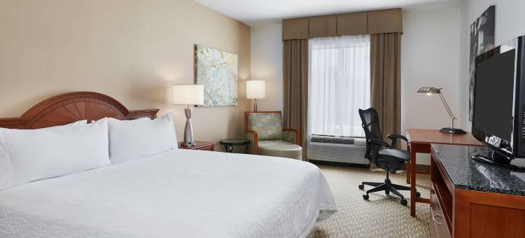 夏洛特北希尔顿花园酒店(Hilton Garden Inn Charlotte North)图片