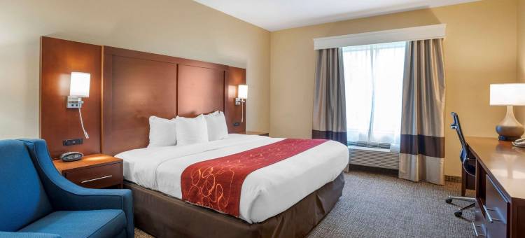 弗雷德里克斯堡北部舒适套房酒店(Comfort Suites Fredericksburg North)图片