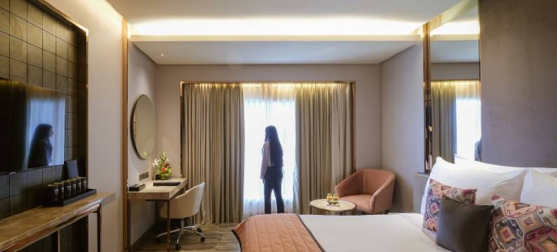 印多尔公园酒店(The Park Indore)图片