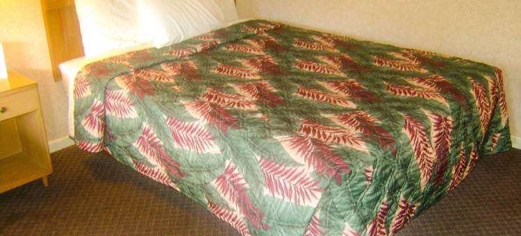 阿尔玛汽车旅馆(Alma Motel)图片