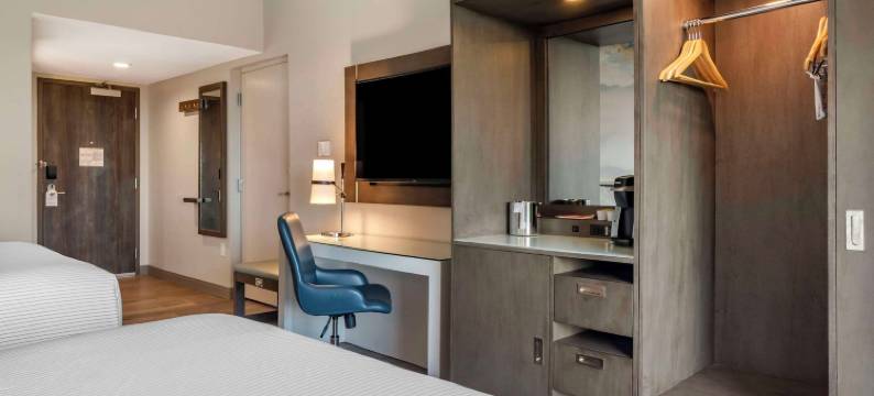 奥兰多机场坎布里亚酒店(Cambria Hotel Orlando Airport)图片