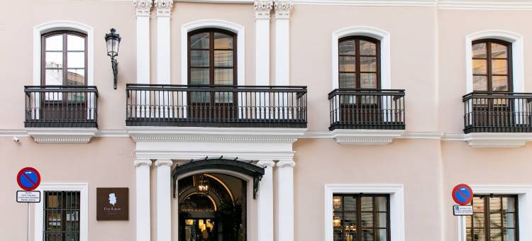卡萨帕拉西奥唐拉蒙酒店(Hotel Casa Palacio Don Ramón)图片