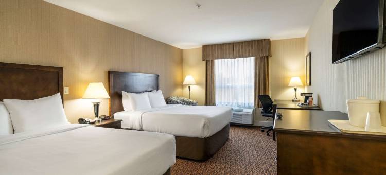 舒适套房酒店(Comfort Inn & Suites)图片