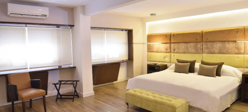 丹佛马德普拉塔酒店(Hotel Denver Mar del Plata)图片