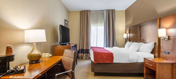 亨廷顿索斯波因特舒适套房酒店(Comfort Suites South Point - Huntington)图片