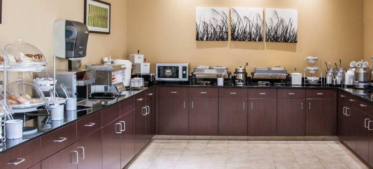 俾斯麦I-94舒眠套房酒店(Sleep Inn & Suites Bismarck I-94)图片